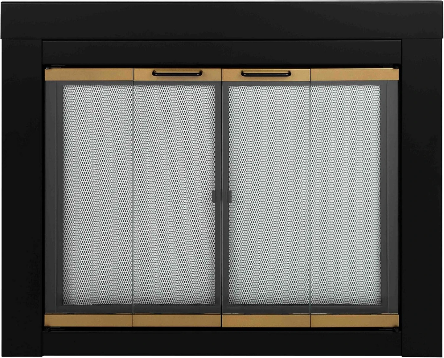 Brand New Arrington Medium Fireplace Glass Door For Sale
