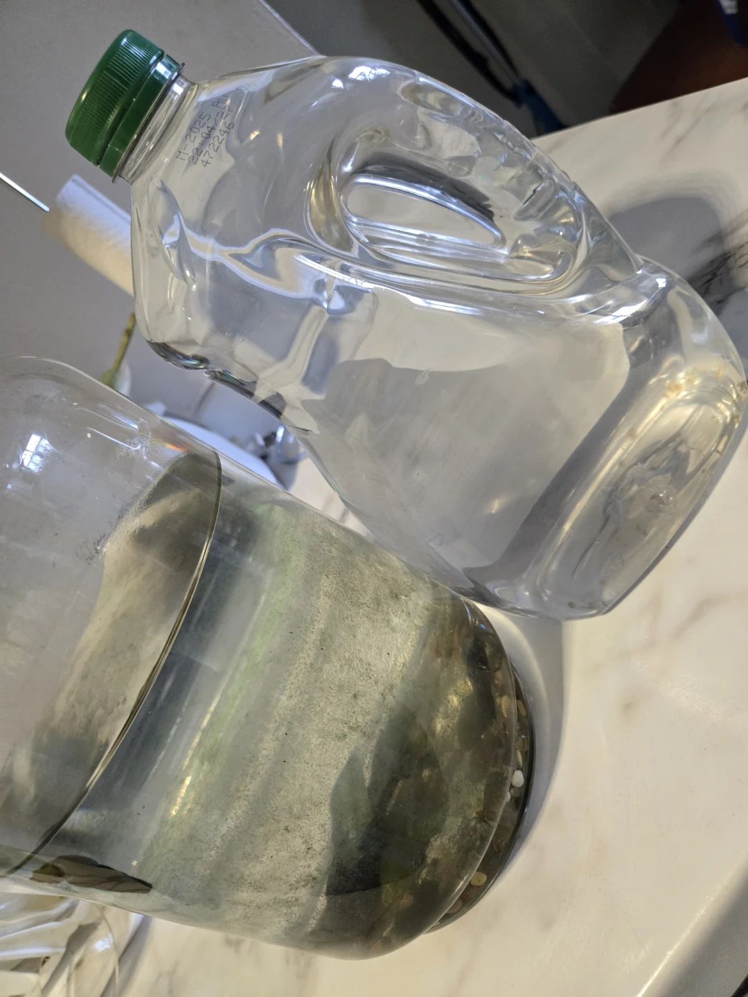 NATURAL FERTILIZER FOR PLANTS, SNAIL TANK WATER✨️💧 - photo 3
