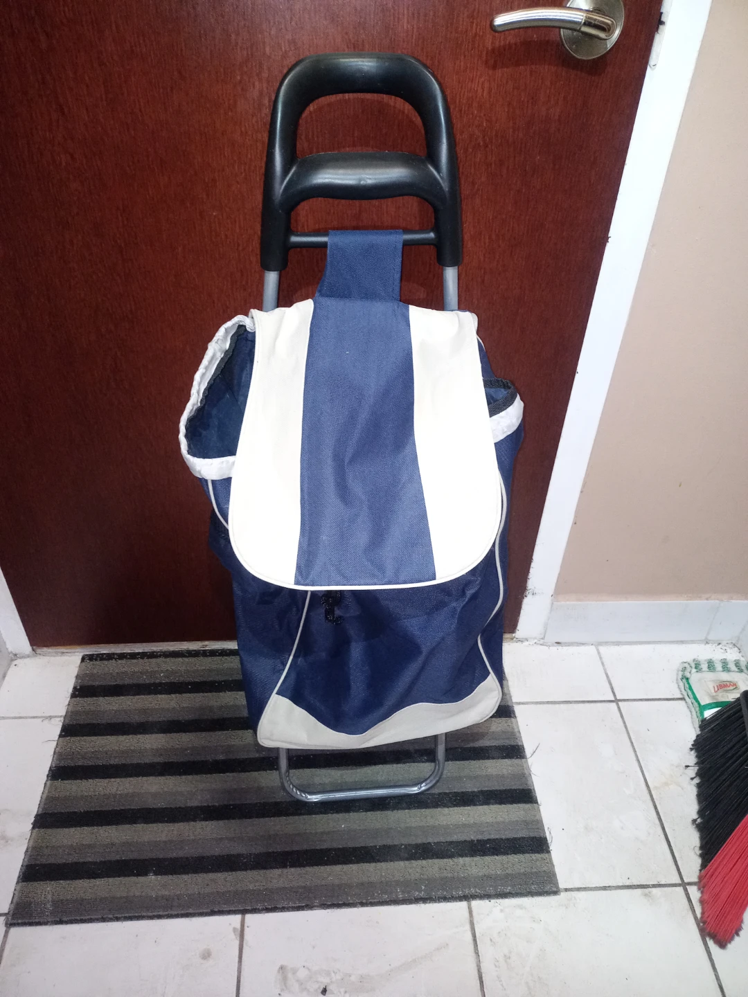 Small Shopping Cart