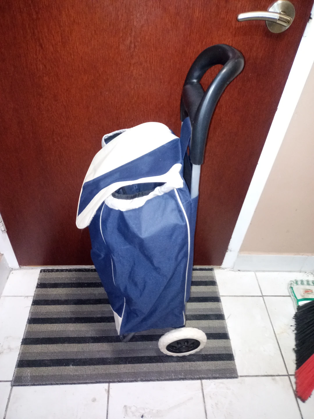 Small Shopping Cart - photo 4