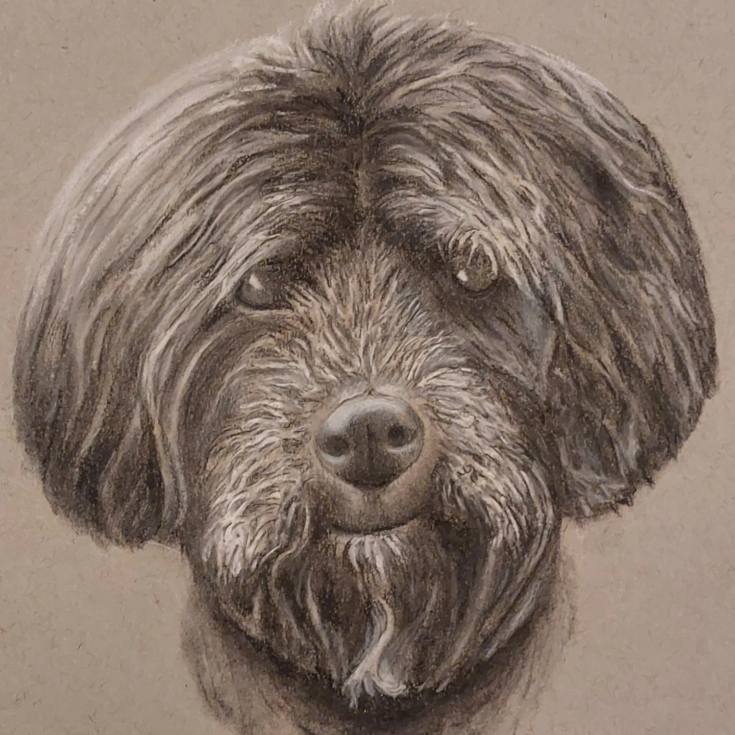Custom Dog Portraits 🏆