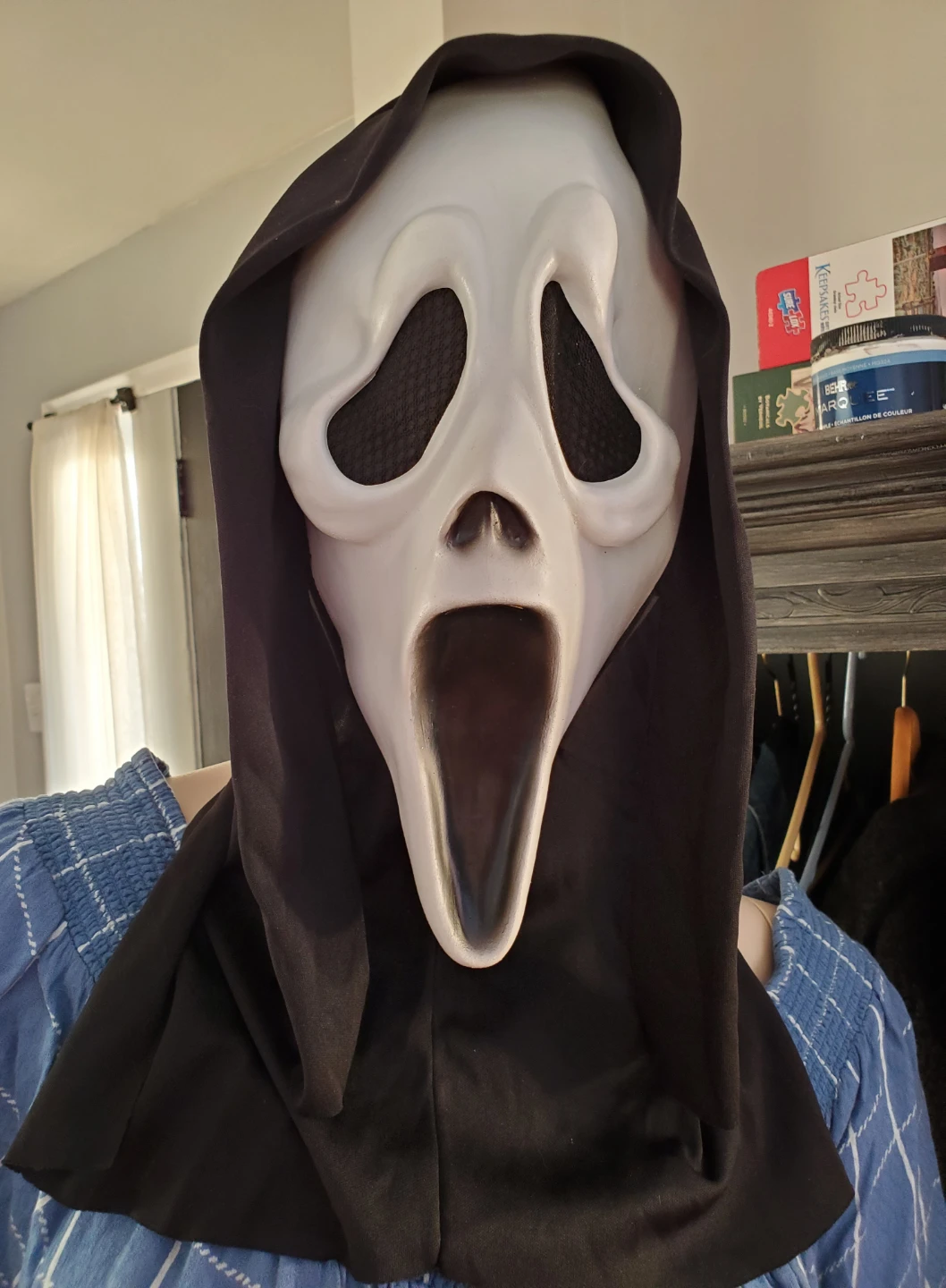 Adult Halloween Scream Mask...New
