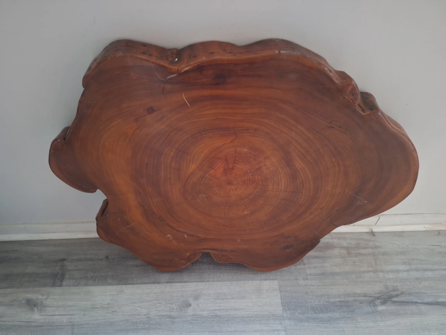 Live Edge Wood Slice Platter or Decor