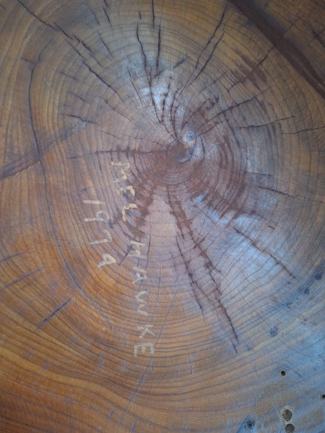 Live Edge Wood Slice Platter or Decor - photo 4