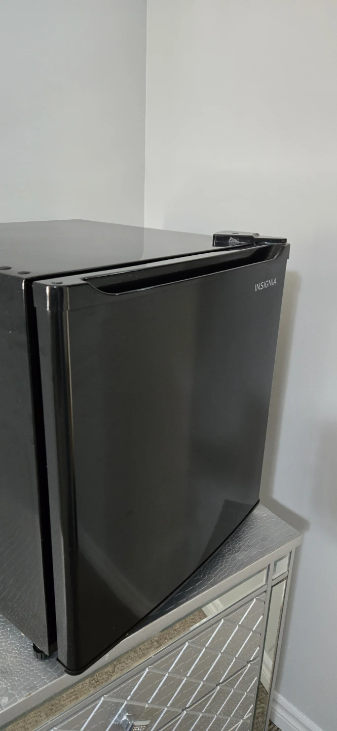 Insignia Black Mini Fridge