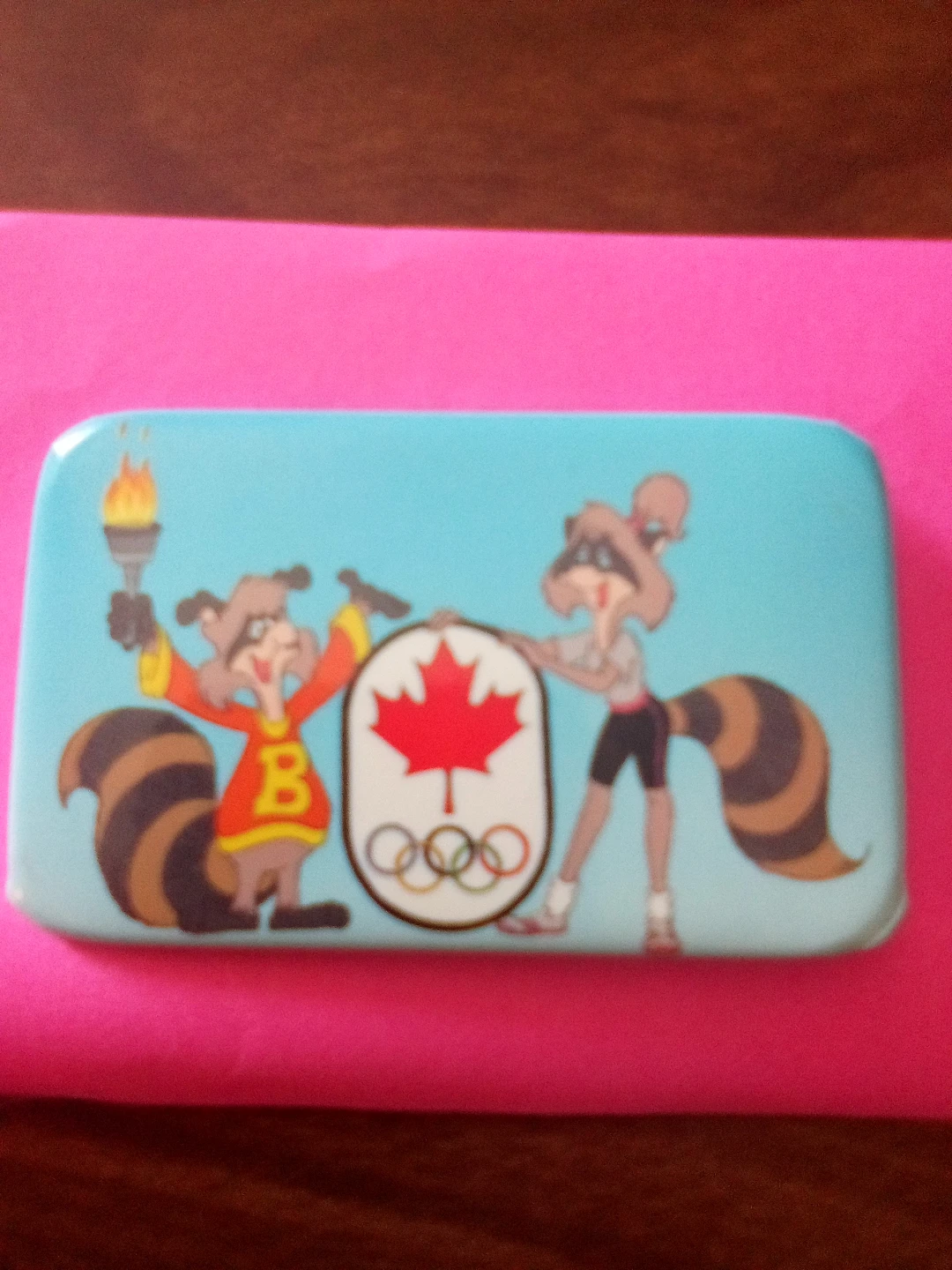 Vintage  1976 Olympic Raccoon Pin Badge