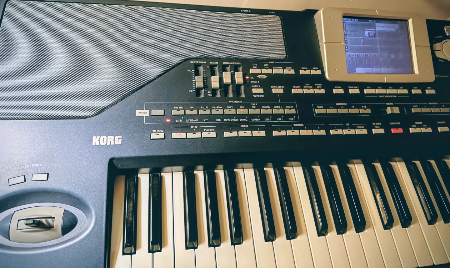 Korg PA800 Arranger Keyboard – Newton Surrey - photo 3
