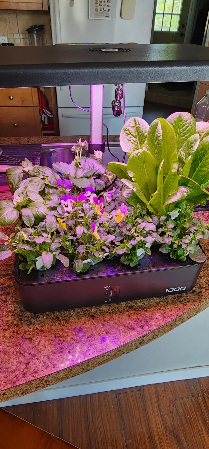 Smart Indoor Garden Hydroponic System