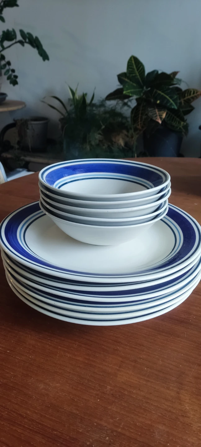 Dinnerware Set - 6 Plates & 5 Bowls