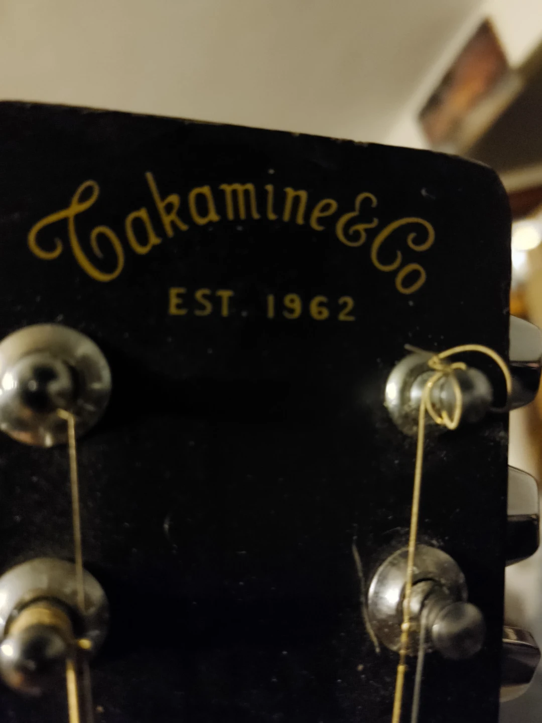 Takamine & Co. Twelve string Acoustic Guitar🥕