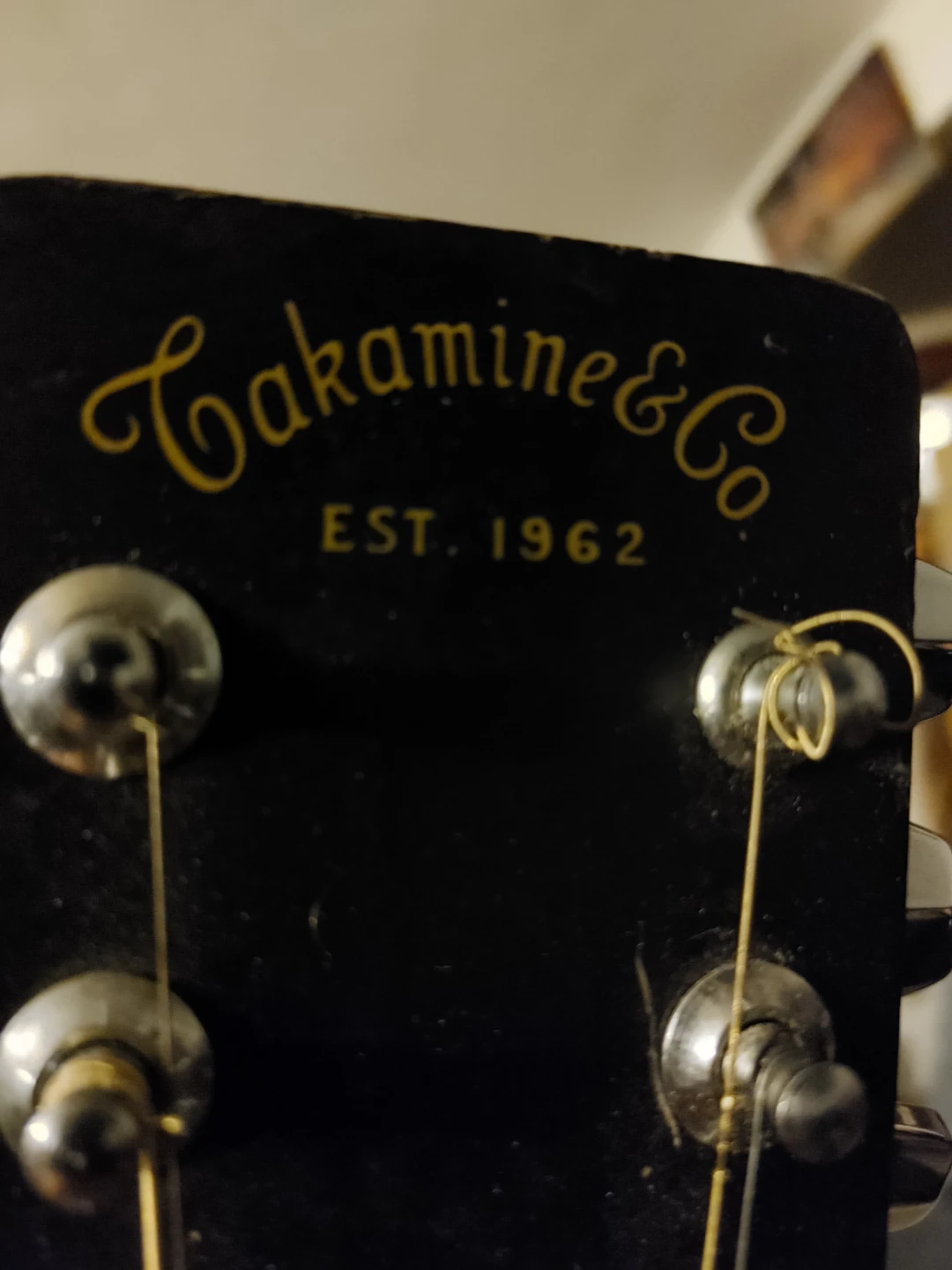 Takamine & Co. Twelve string Acoustic Guitar🥕 - photo 2