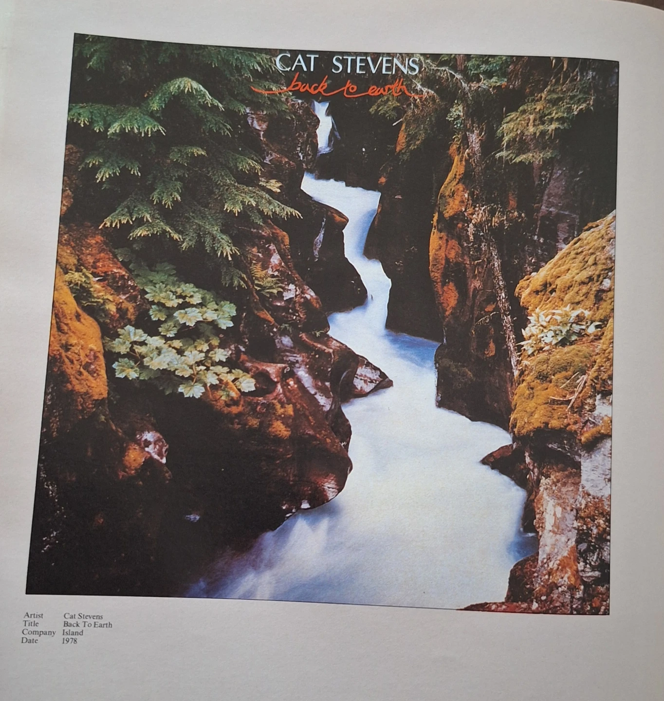 Graphic Design Books - photo 3