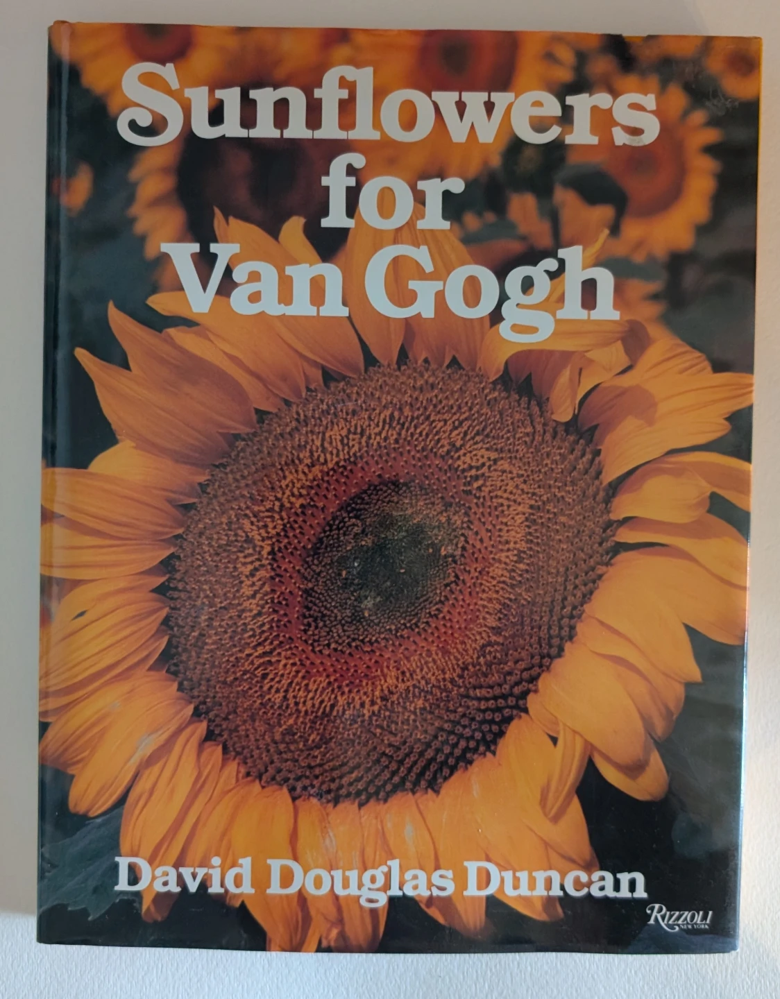 Sunflowers for Van Gogh