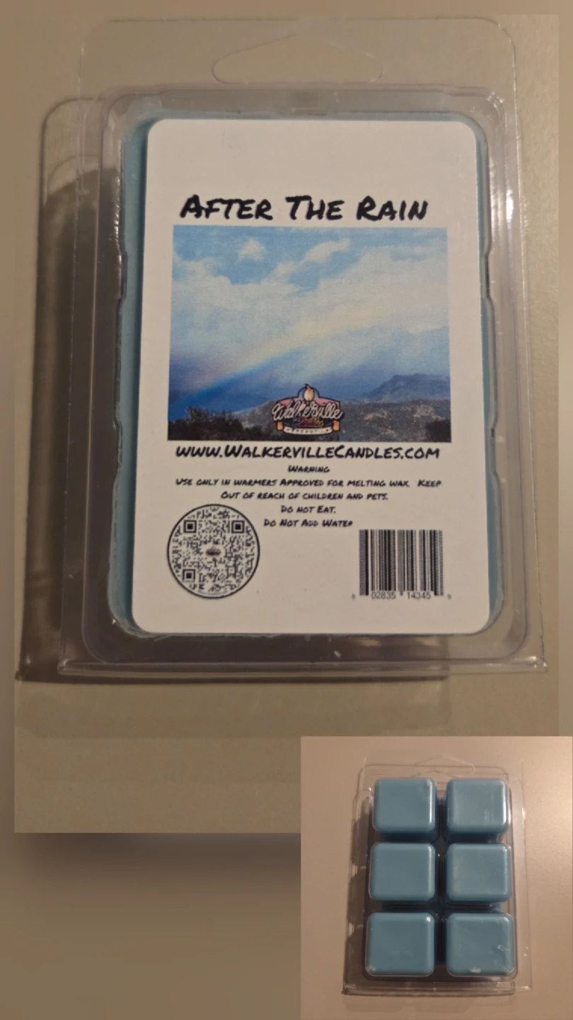 UpUntil4/26 - Wax Melts After The Rain - photo 3