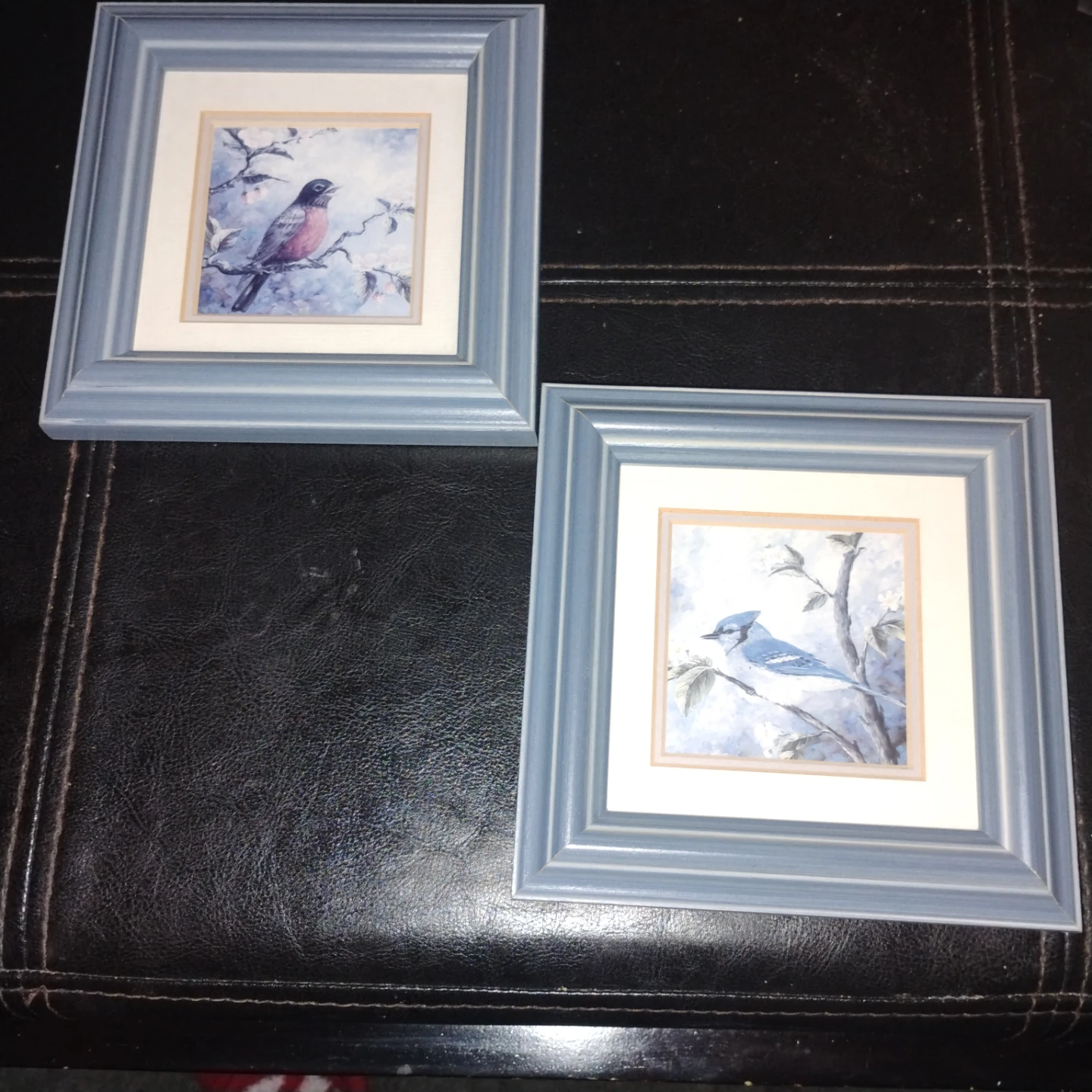 Set of 2 Framed Bird Prints by Lynne Davidson