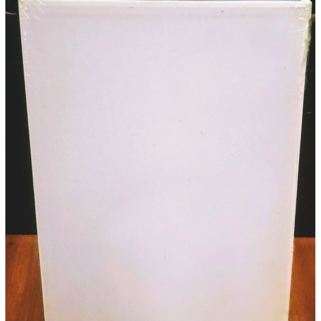 UNUSED North Shore Canvas Panel 11 in. x 14 in. - photo 4