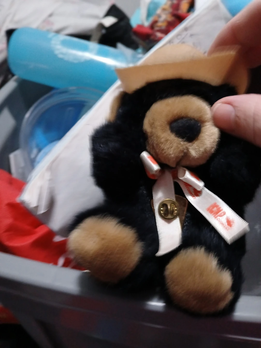 RCMP Teddy Bear with Hat