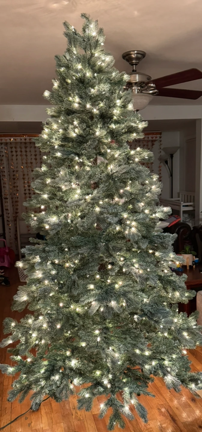 🥕FREE Christmas Tree