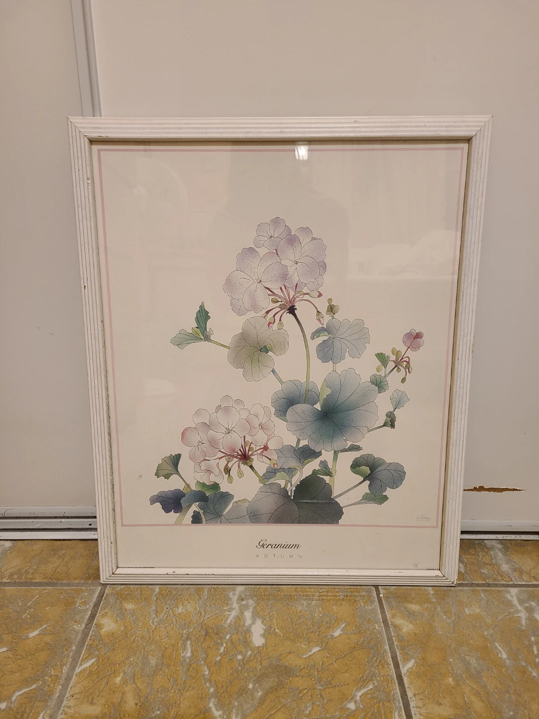 🥕Framed Floral Wall Art
