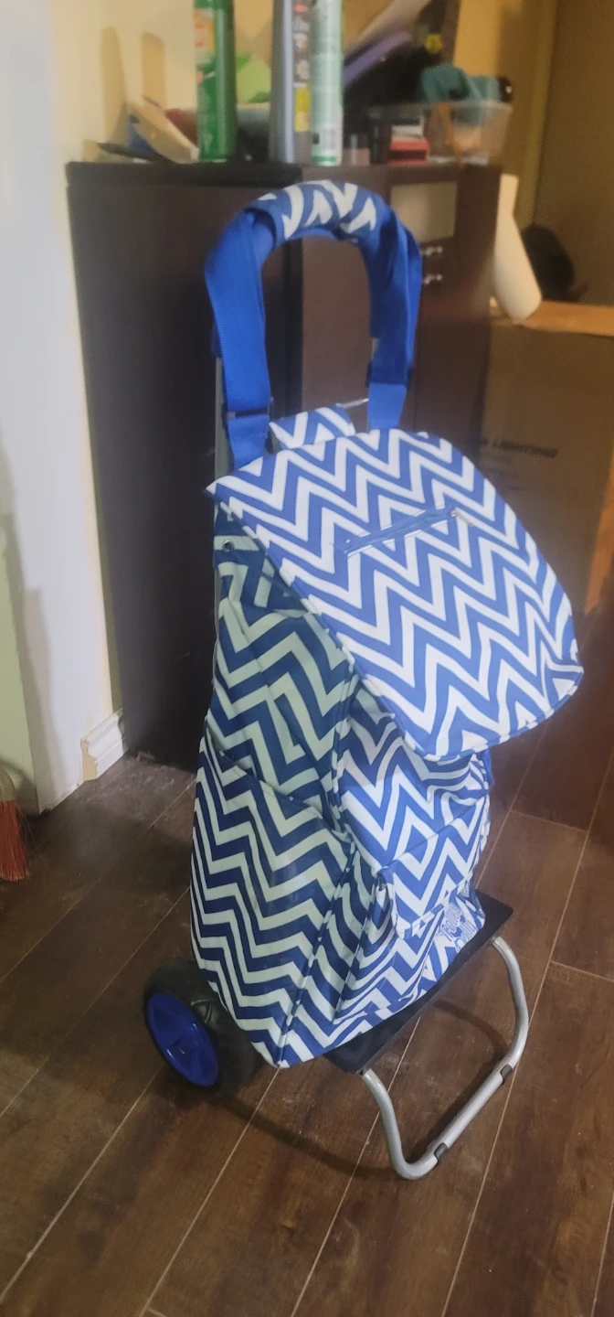 Blue Chevron Rolling Shopping Cart
