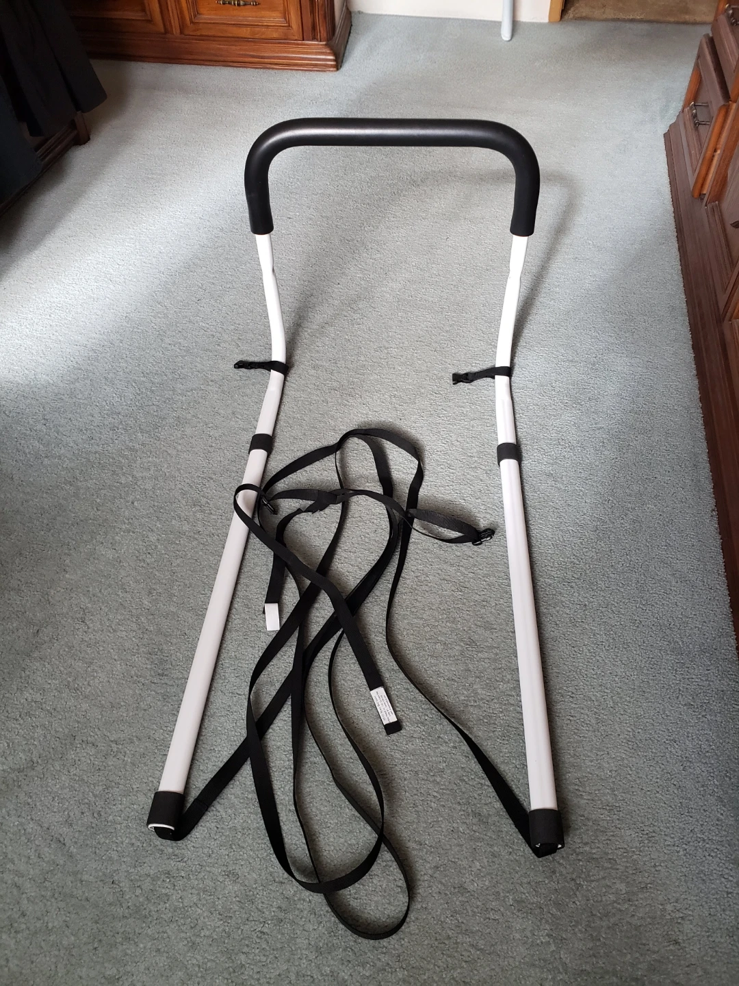 Bed Assist Rail