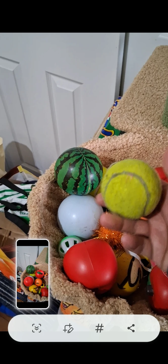 Assorted Play Balls - photo 4