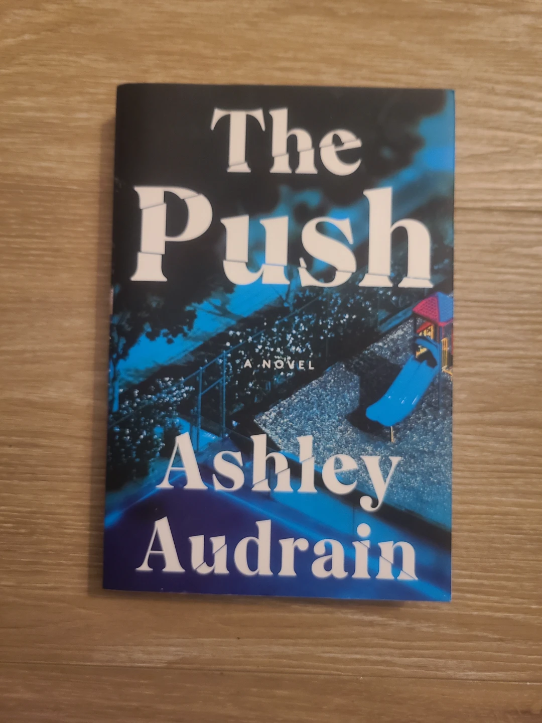 🏆 The Push by Ashley Audrain Novel