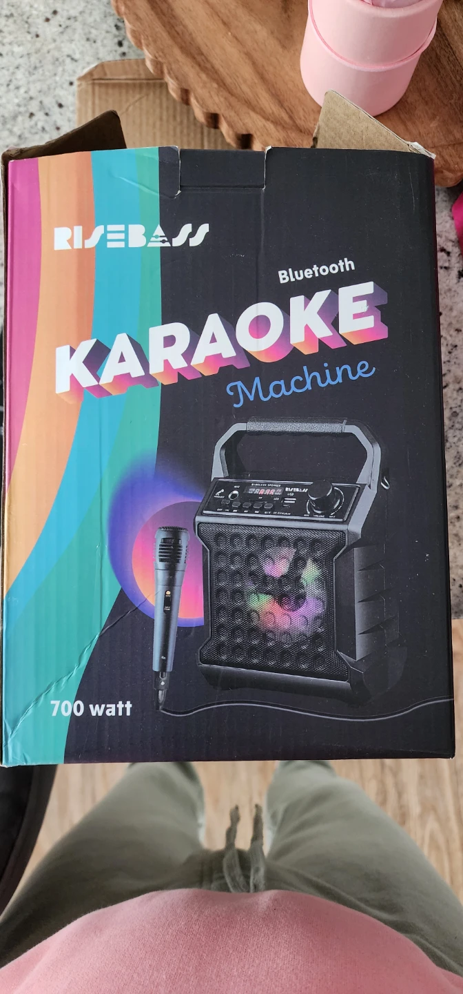 RISEBASS Bluetooth Karaoke Machine with Microphone