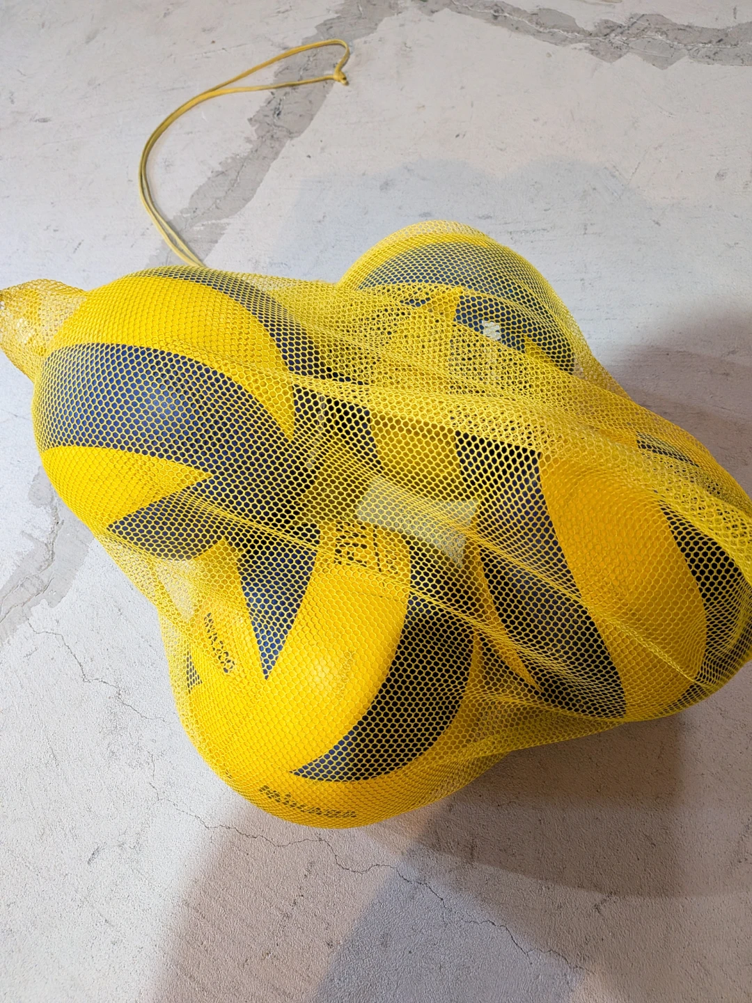 Volleyballs in Mesh Bag