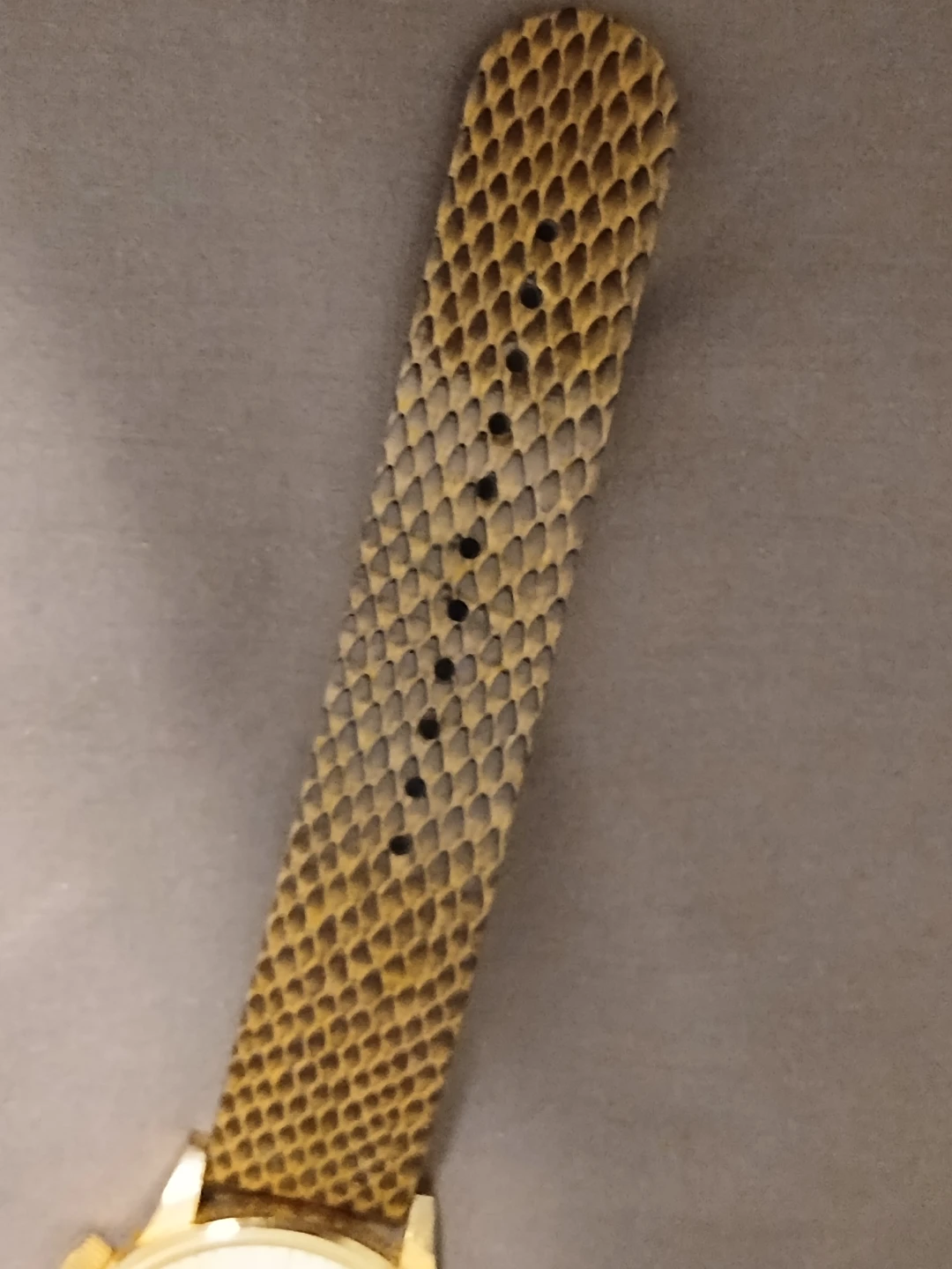 Komono Watch - Gold Case - Serpent Print Band - photo 3