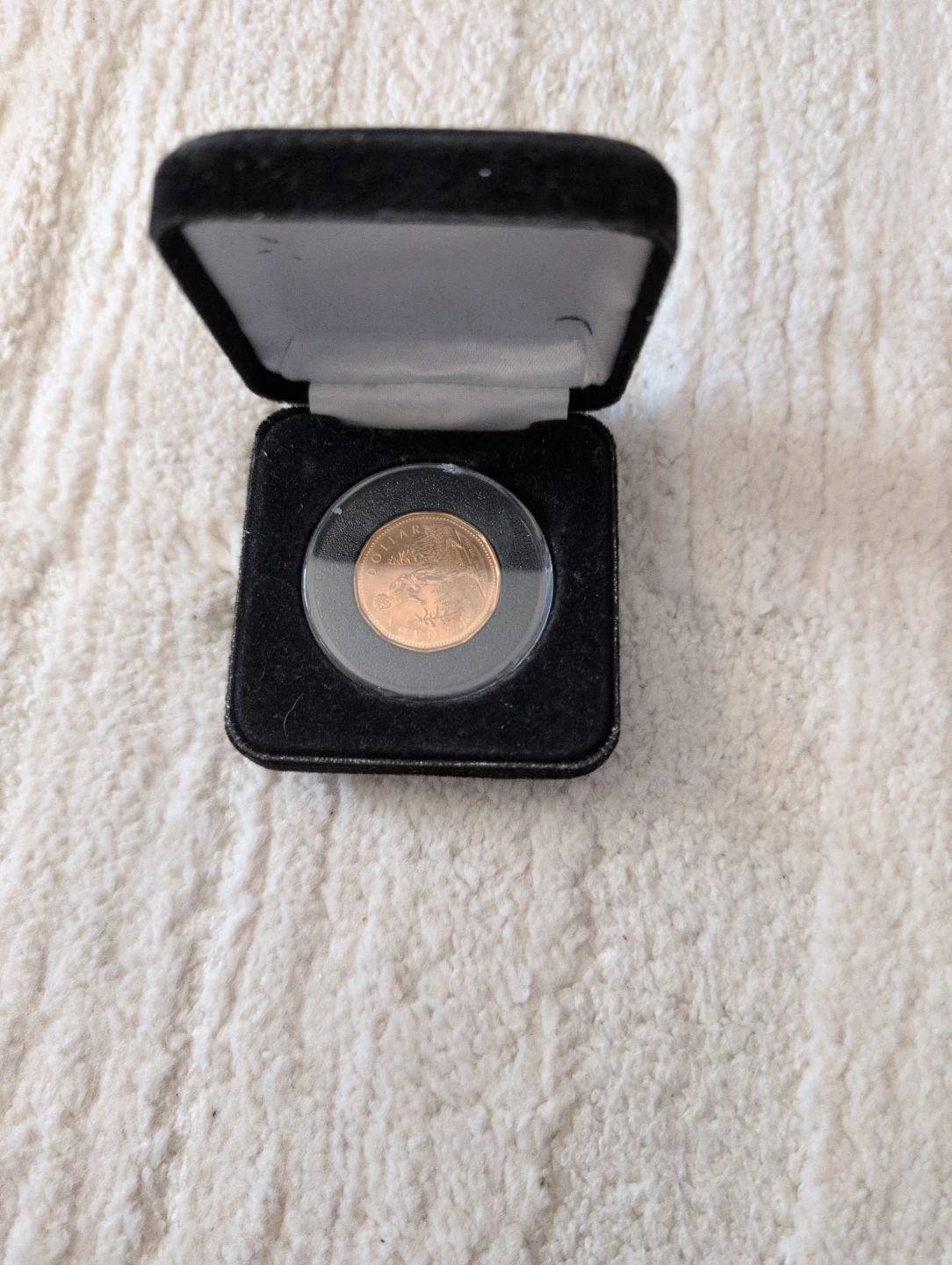 Canadian Loonie Coin in Display Box Terry Fox
