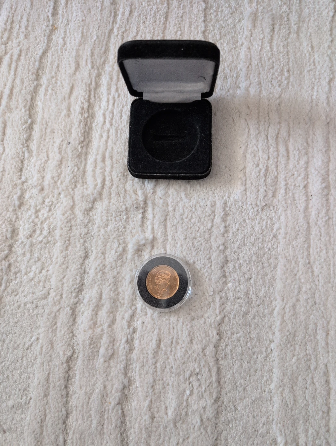 Canadian Loonie Coin in Display Box Terry Fox - photo 2