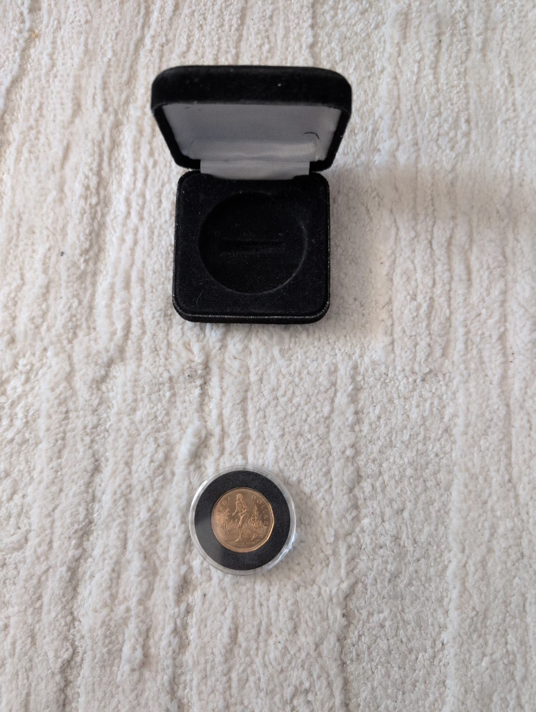Canadian Loonie Coin in Display Box Terry Fox - photo 3