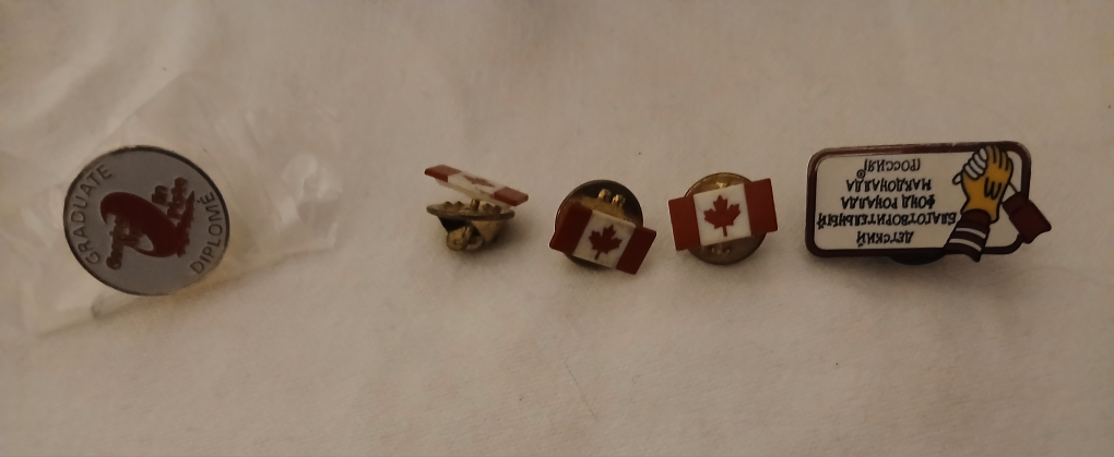 Assorted Lapel Pins