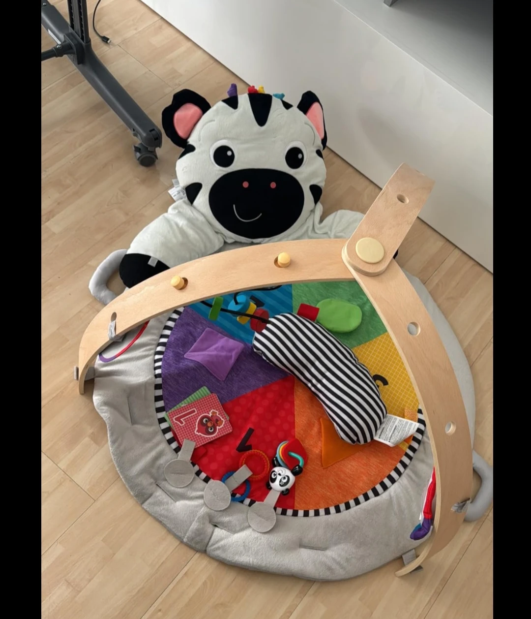 Baby Einstein Activity Gym and play mat🏆