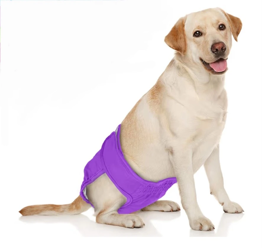 Reusable Dog Diaper - Size XL