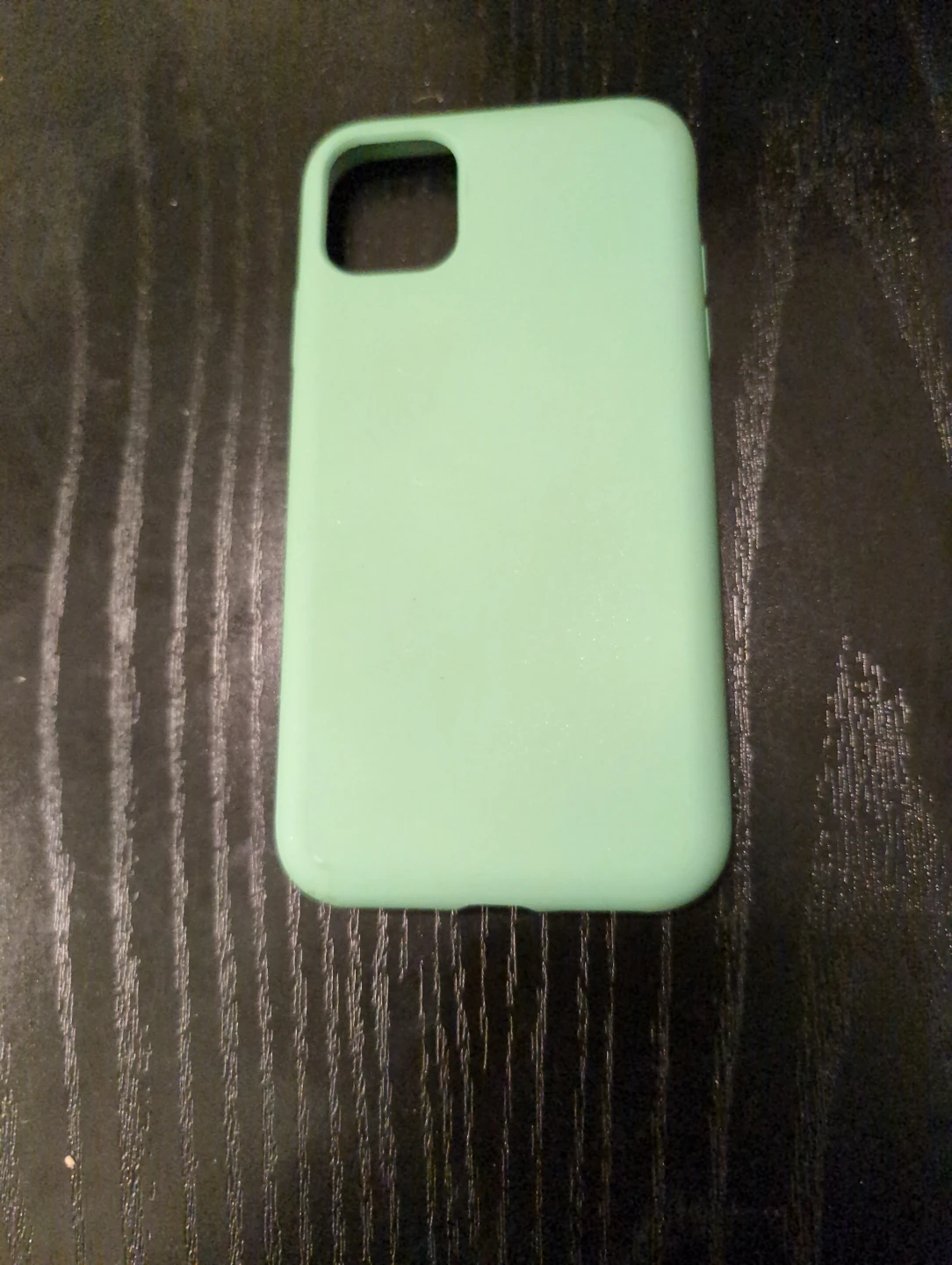Mint Green Silicone Phone Case for iPhone 11 - photo 2
