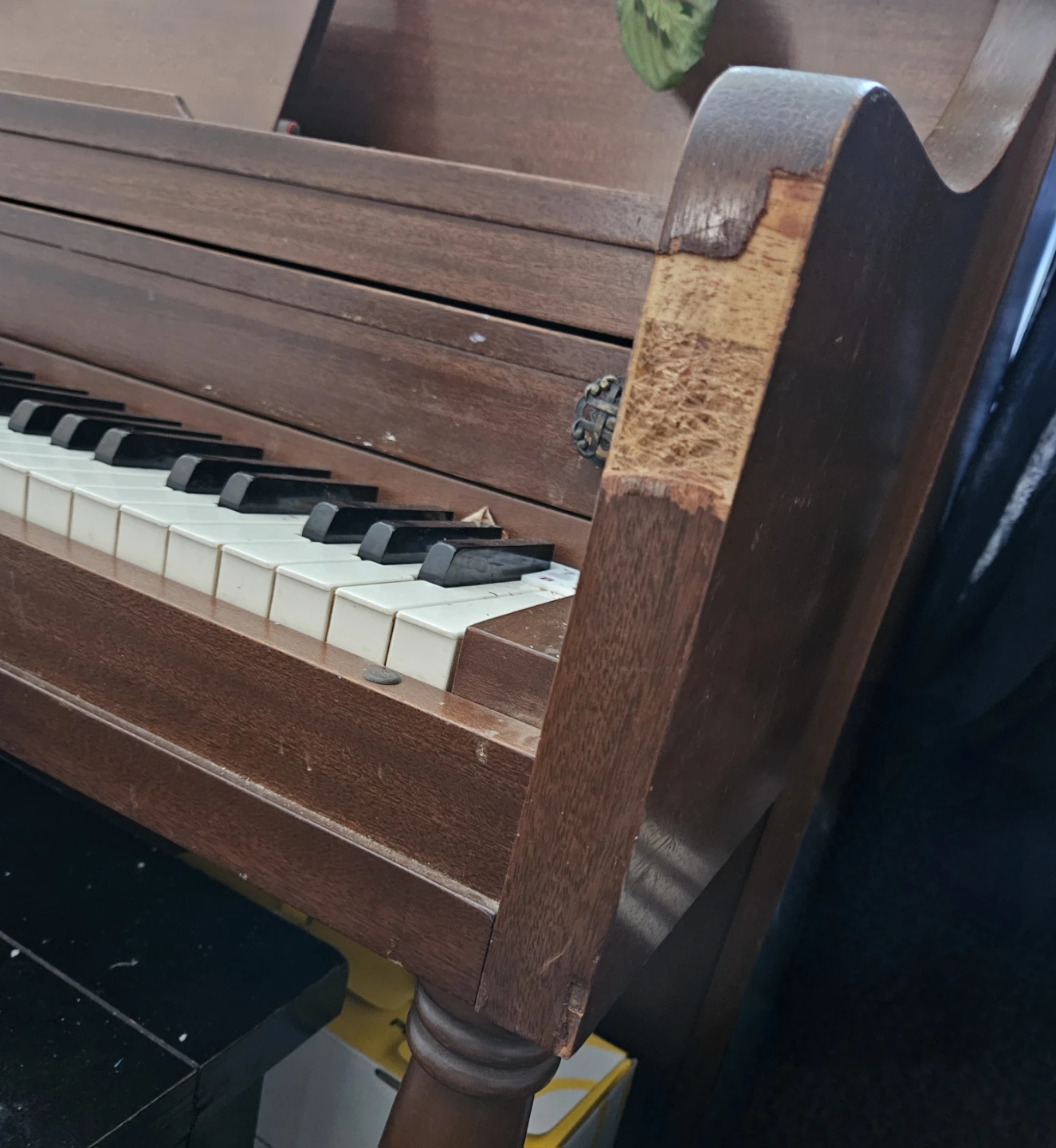 Free Piano - photo 3