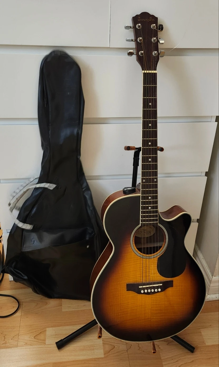 Seung Jin Acoustic Electric Guitar with Gig Bag