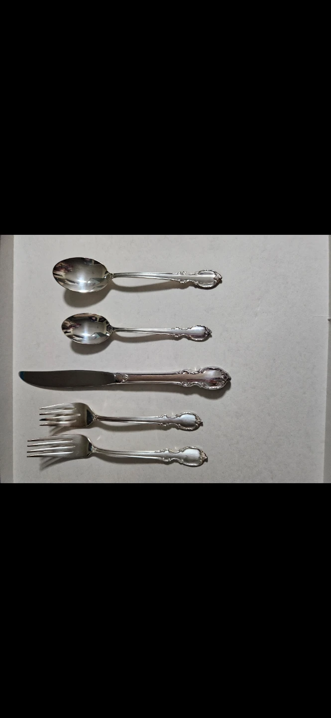 Silverware Set - 5 Piece - Spoon, Fork, Knife