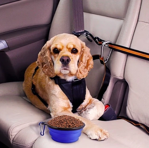 NEW!  Collapsible Dog Bowl - 2 Pack Travel Food Water Bowl - photo 5