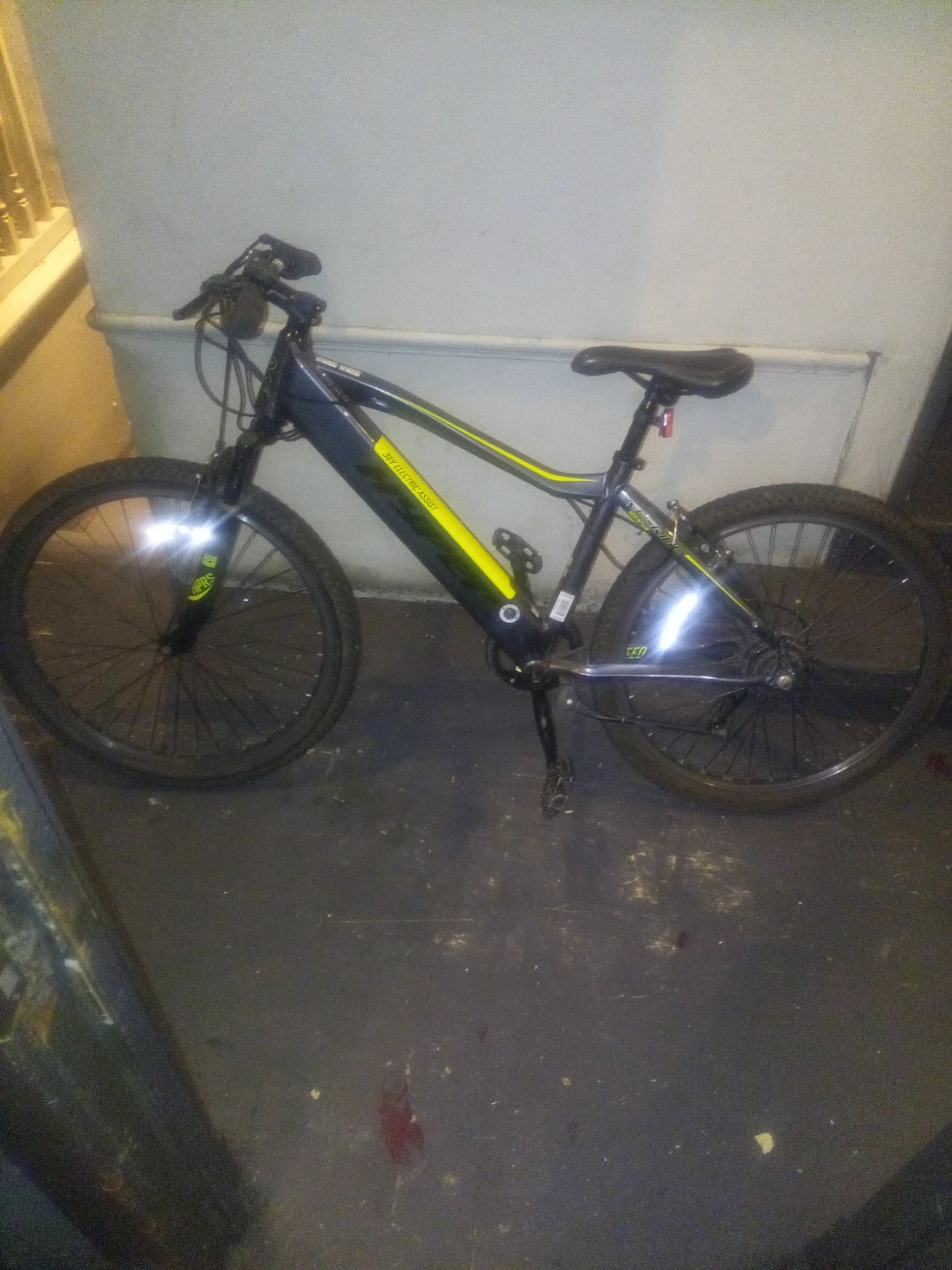 Electric Assist Mountain Bike