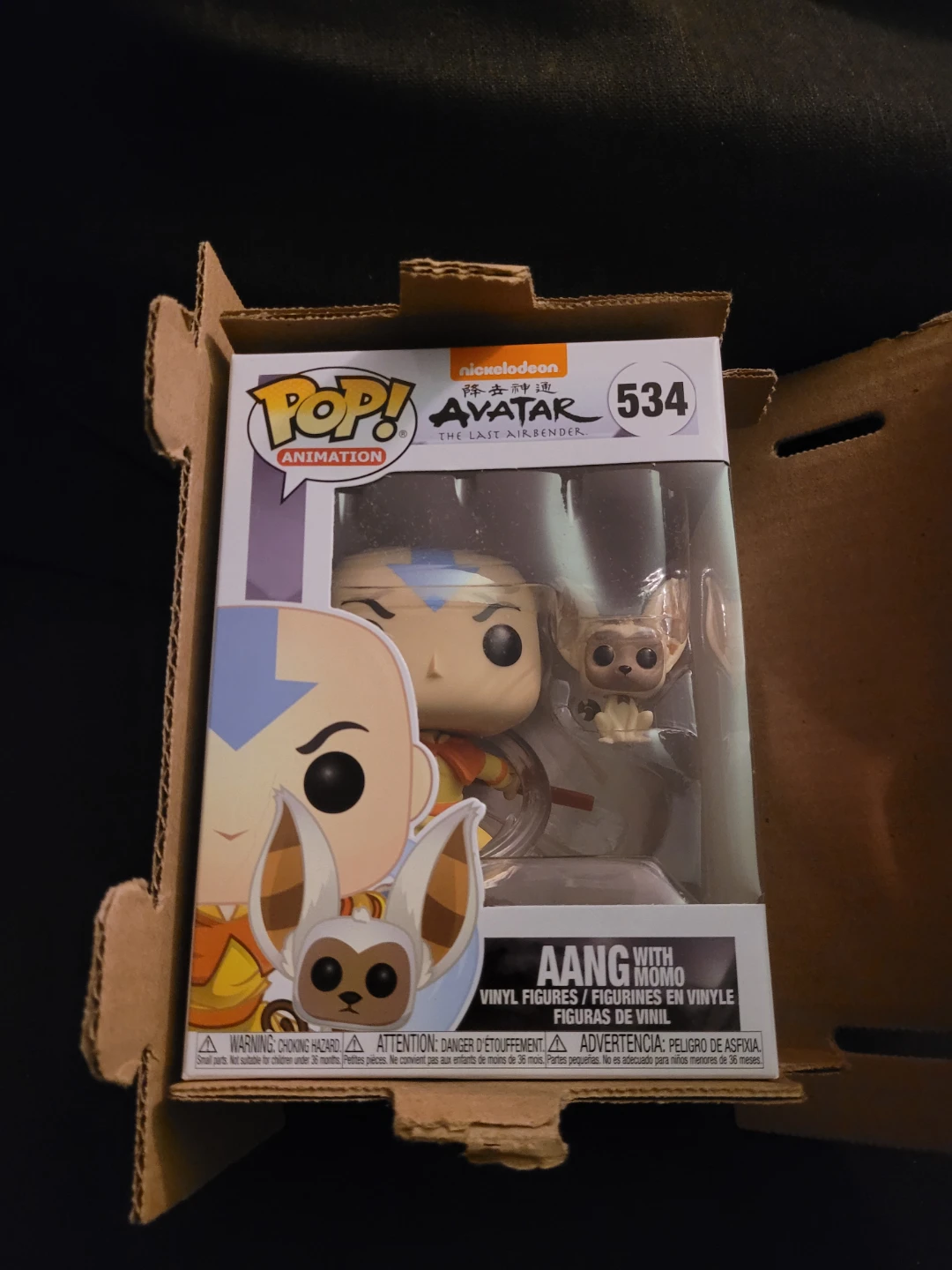 Funko Pop! Avatar The Last Airbender Aang with Momo #534