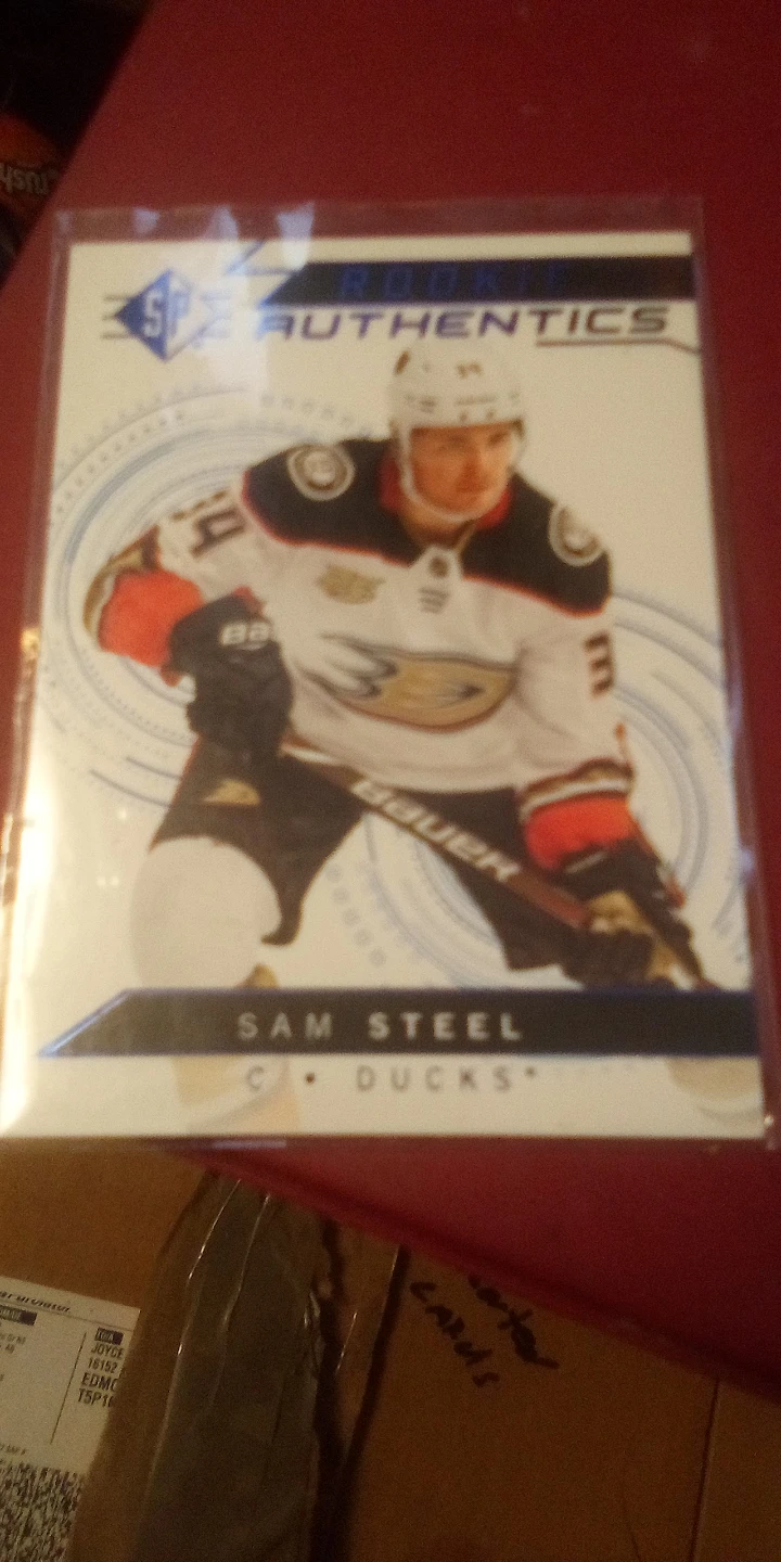 Assorted Hockey Cards - photo 4