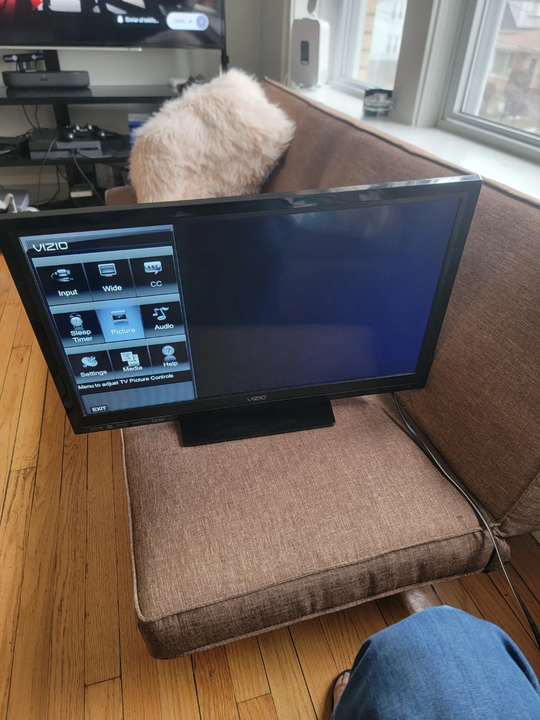 VIZIO Flat Screen TV