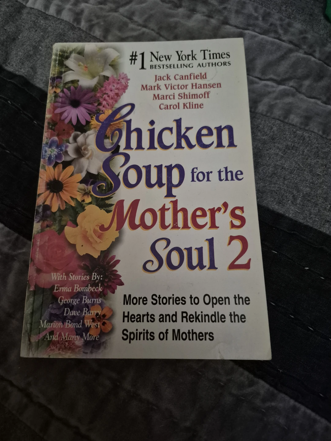 Chicken Soup for the Mother's Soul 2 Book