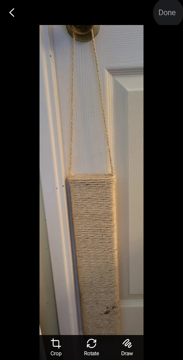 Free Hanging Sisal Cat Scratcher 🥕