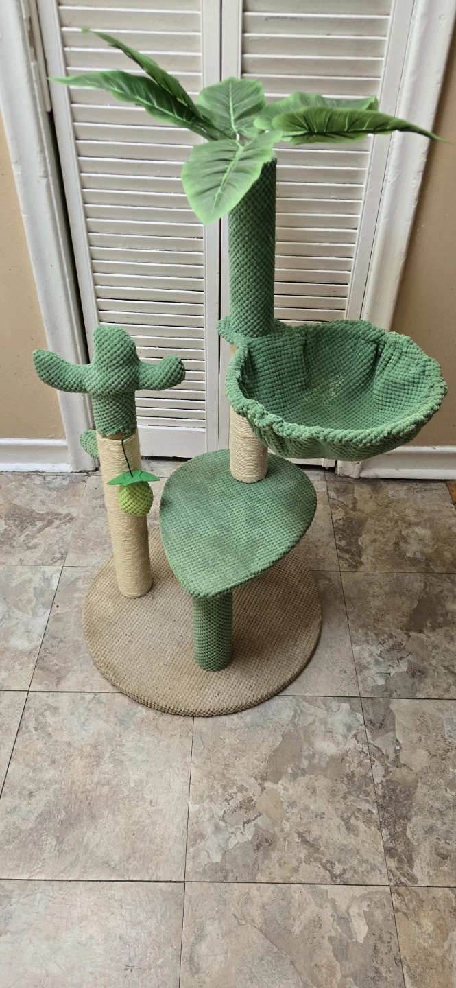 Cat Scratcher Tree