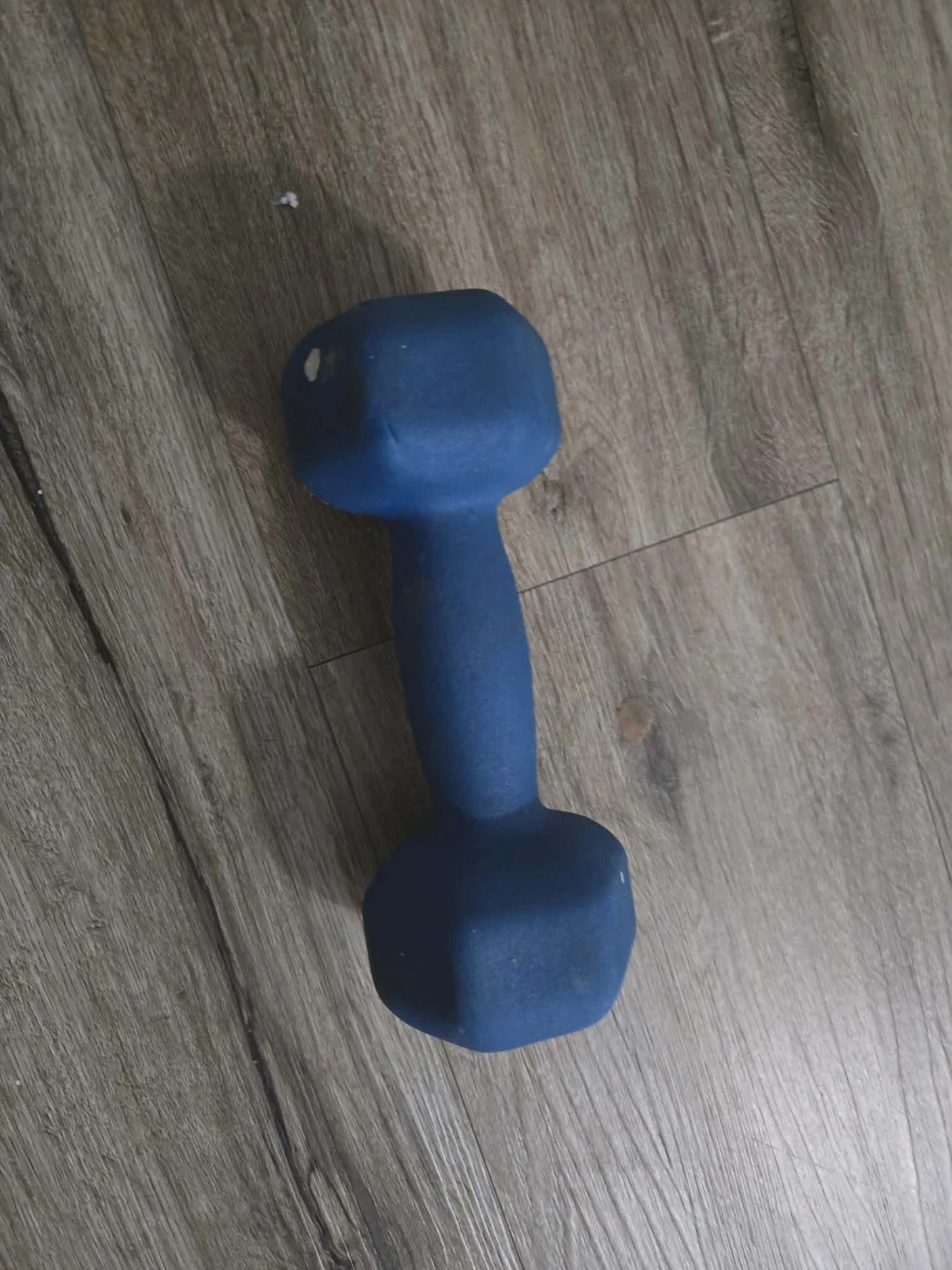 SPRI 5lb Dumbbell🥕