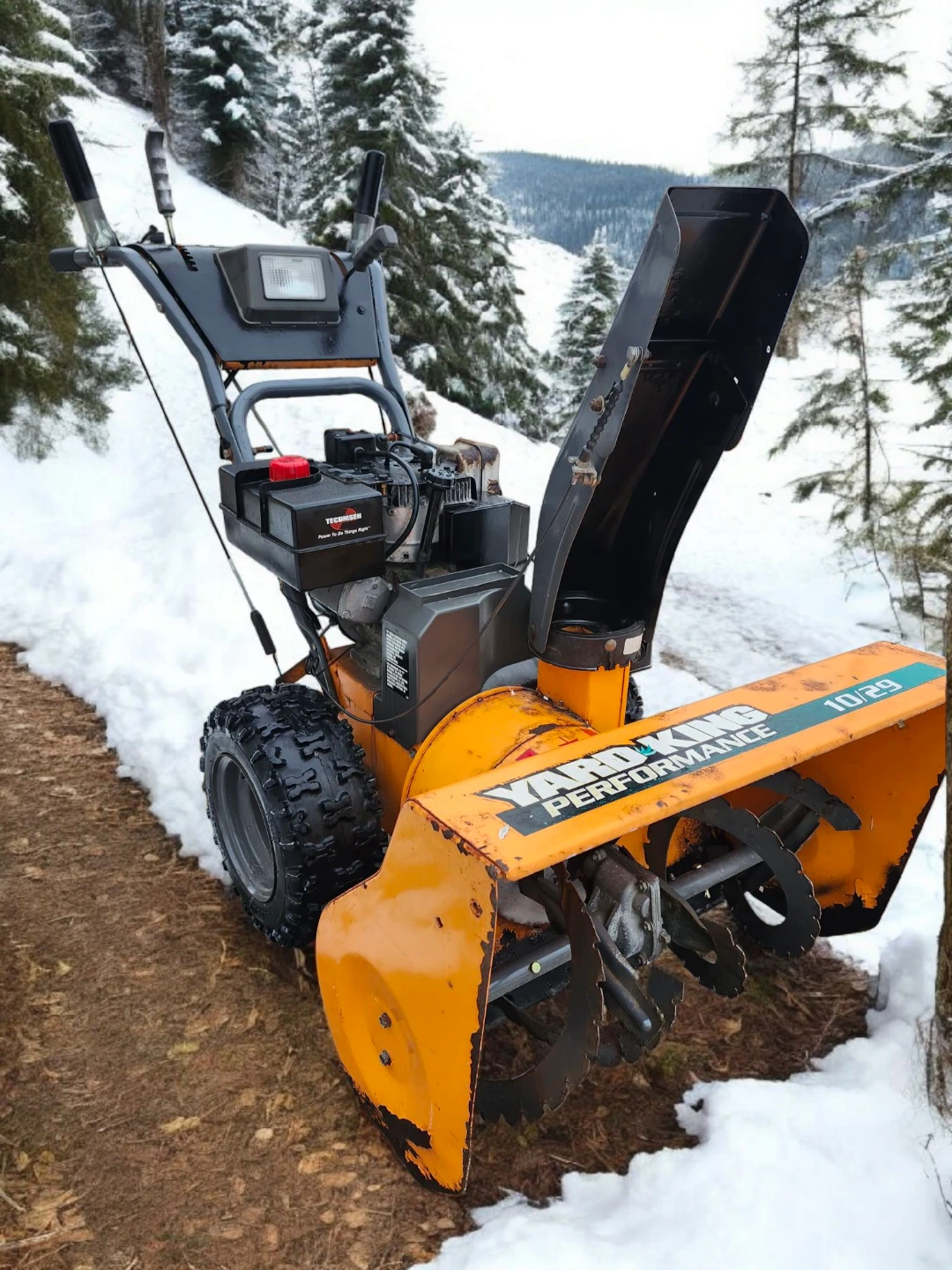 Comercial 10Hp 29" Snowblower  Carbur tuneup fresh oil change